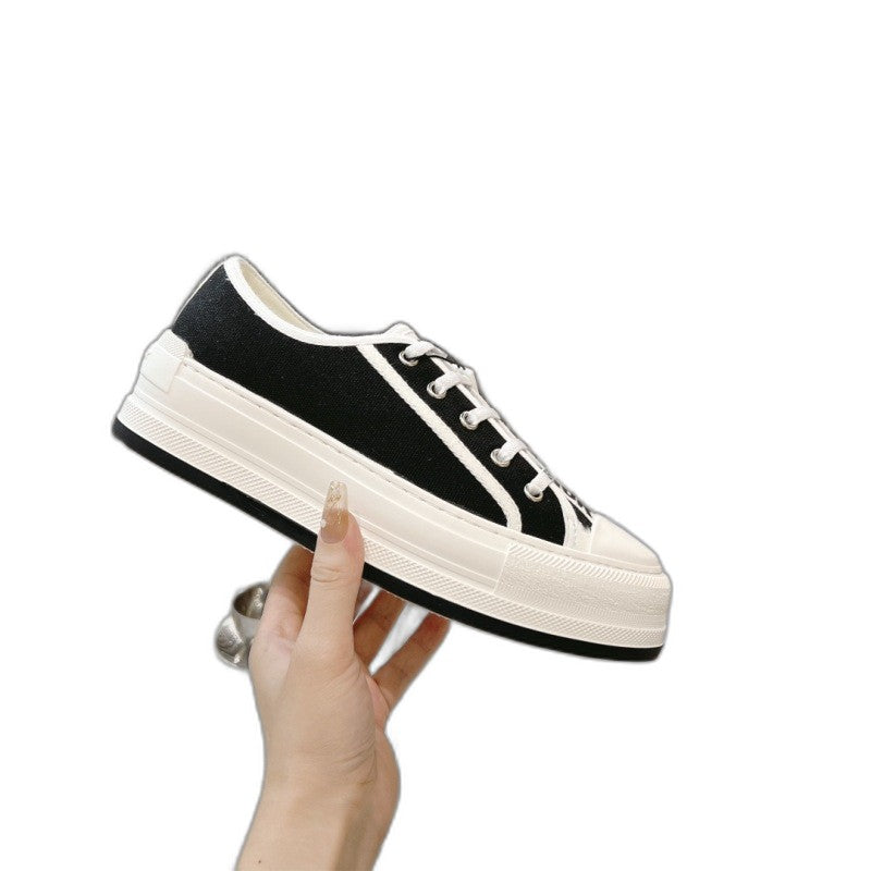 Dior Oblique Lona