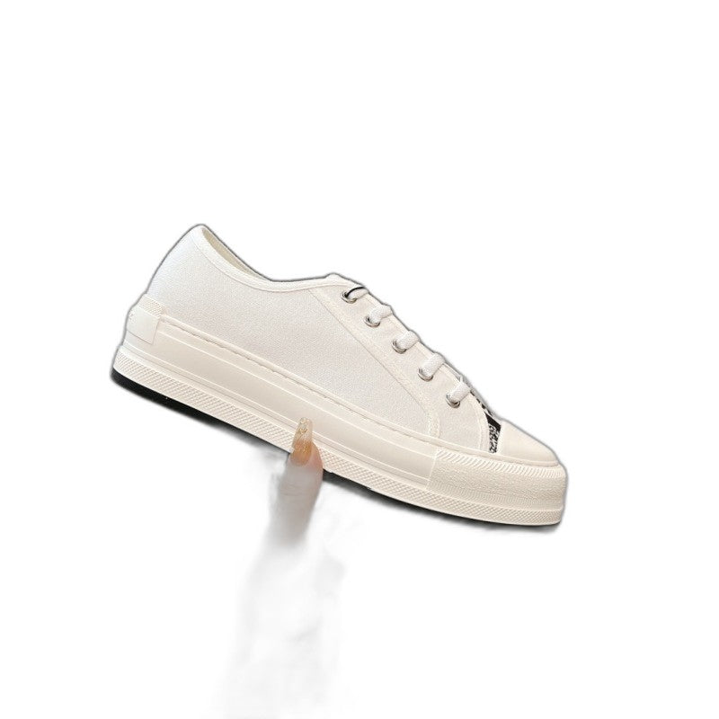 Dior Oblique Lona