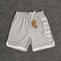 Short Jordan Air SS22