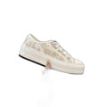 Dior Oblique Lona