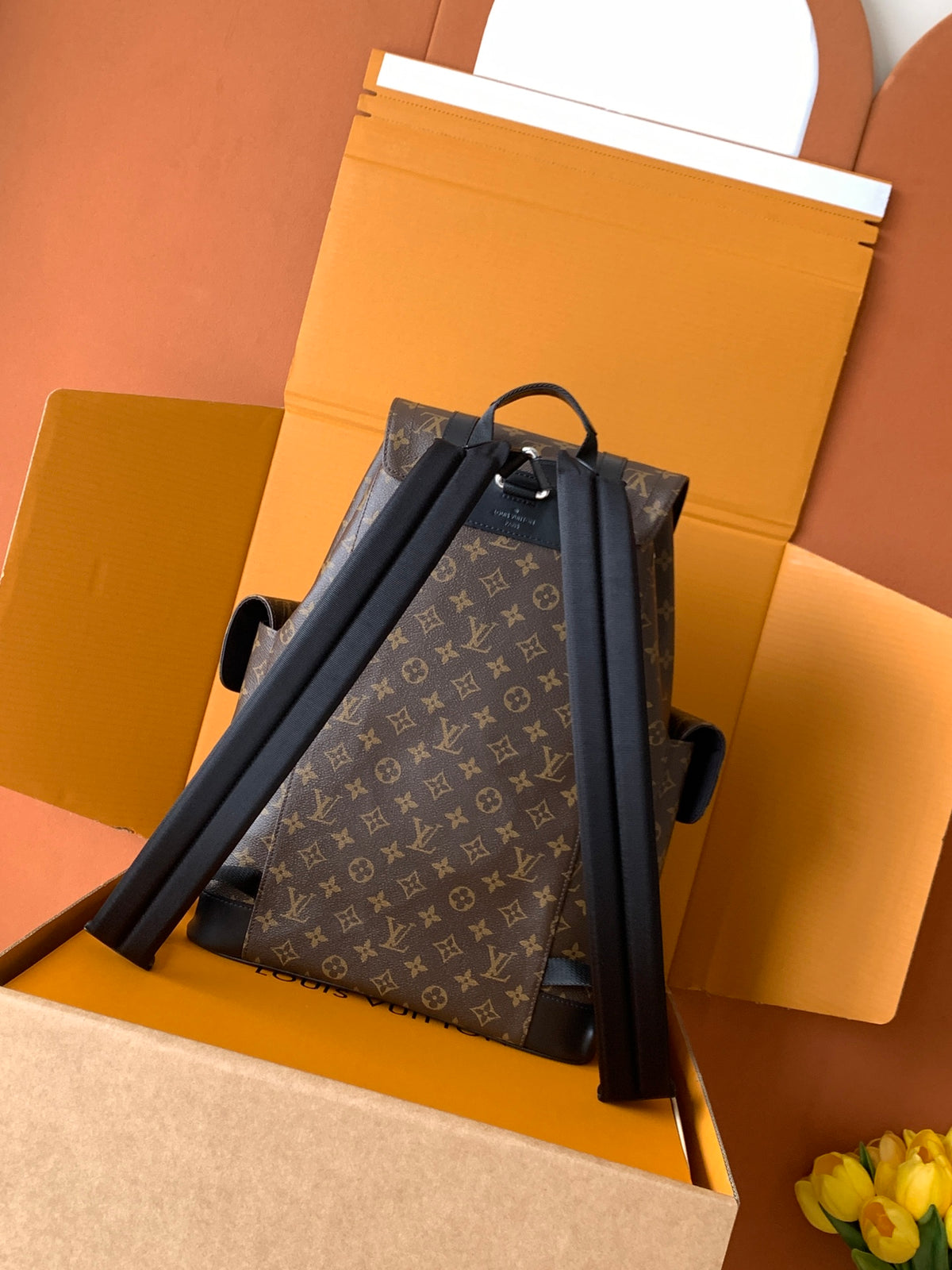 Louis Vuitton Christopher Backpack – Monogram Macassar